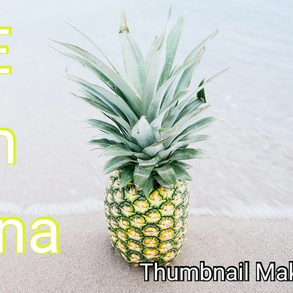 Meet your Posher, Life with - Picture 1 of 1